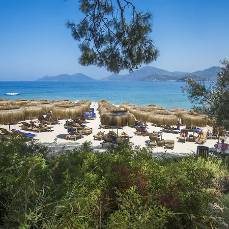 Liberty Lykia Adults Only