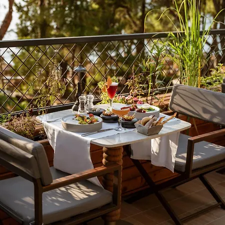 Liberty Lykia Adults Only