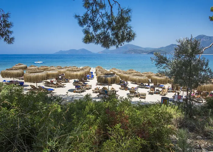 Liberty Lykia Adults Only